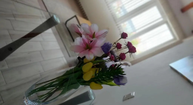 Номер Deluxe Apartments Adria