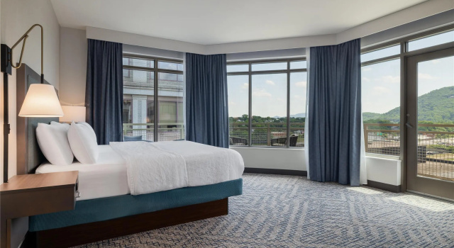 Люкс Hampton Inn & Suites - Roanoke-Downtown, VA
