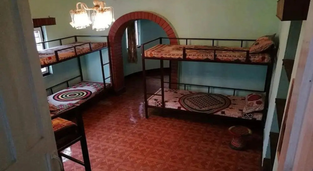 Номер Standard The Nepali Hive