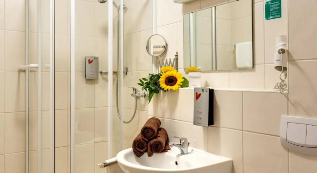 Номер Standard Hotel Die Kleine Blume
