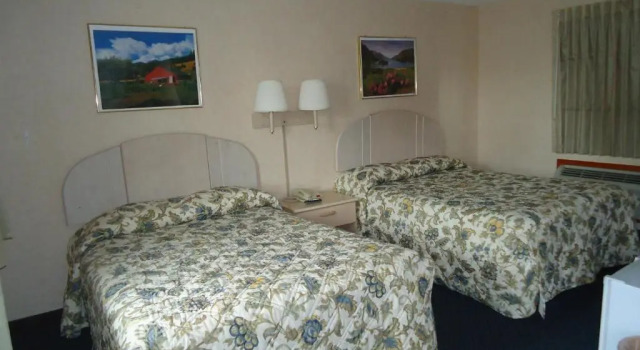 Четырёхместный номер Standard Elm Motel