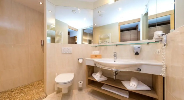 Двухместный номер Standard Hotel Grüner Baum