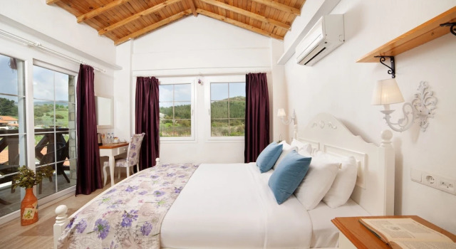 Номер Deluxe с балконом Vinifera Vineyards Hotel