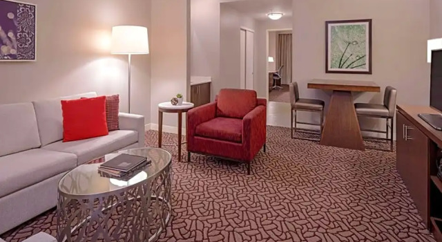 Двухместный с диваном-кроватью люкс c 1 комнатой Hilton Garden Inn Downtown Dallas