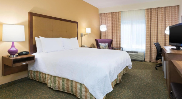 Двухместный номер Standard Hampton Inn by Hilton Odessa
