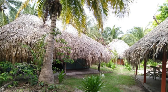 Номер Standard Eco Hotel Las Palmeras