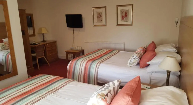 Семейный номер Standard Apple Tree Hotel