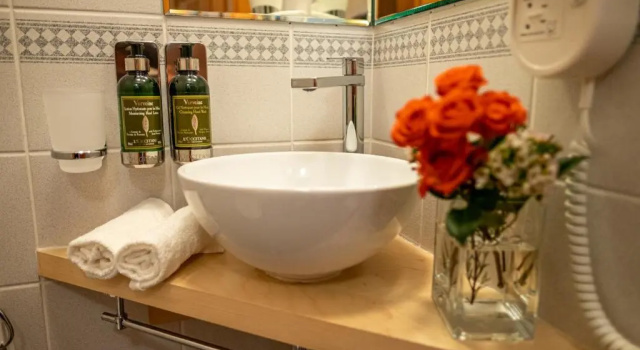 Двухместный номер Standard Villa Marion