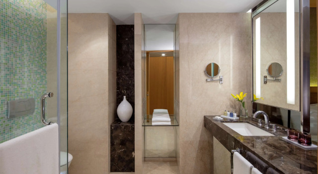 Номер Superior Radisson Blu Hotel Guwahati