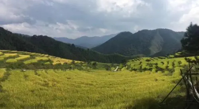 Lianshan Ojia Terrace Farmstay No. 15, Rezervați Hotel Lianshan Guangdong