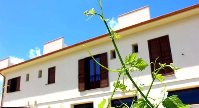 Agriturismo La Casa di Bacco, Rezerwuj Dom wakacyjny Hotele w Sycylia z basenem, Basen