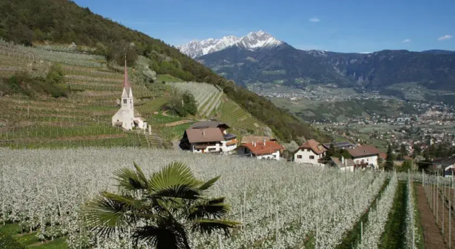 Oberangerhof