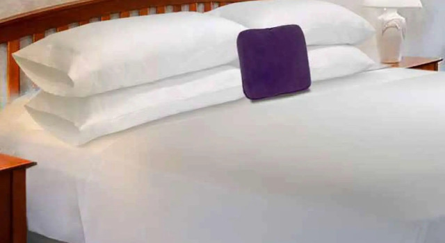 Номер Standard Downtown Motel