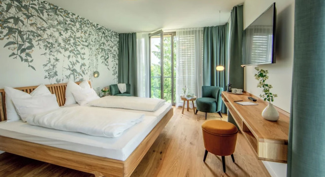 Двухместный номер Premium Hotel und Gasthaus Seehörnle
