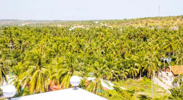 Номер Standard Mui Ne Beach Hotel