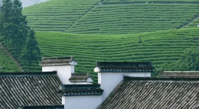 Anji Yunyu Homestay (White Tea Viewing Deck), Prenota Hotel Huzhou Zhejiang