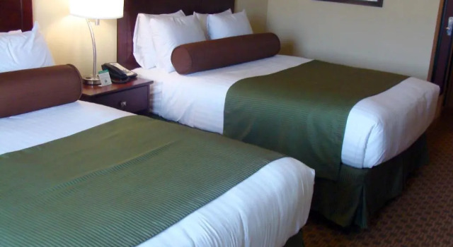Двухместный номер Deluxe Cobblestone Hotel & Suites - Waynesboro