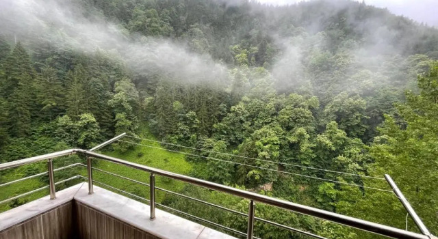 Апартаменты Fairytale Nature House - Uzungöl