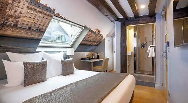 Номер Superior Hôtel Théorème