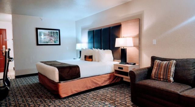 Camera Executive Gold Circle Inn