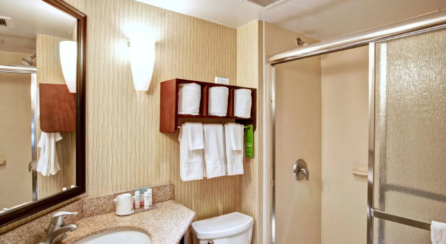 Четырёхместный номер Standard Hampton Inn College Station-Near Texas A&M University