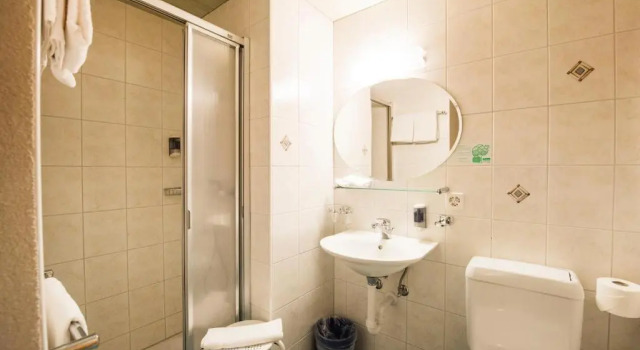 Двухместный номер Standard Hotel Brienzerburli