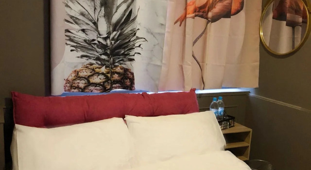 Beepackers - Hostel