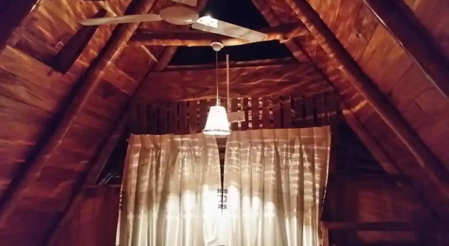 Номер Standard Lizard Safari Lodge