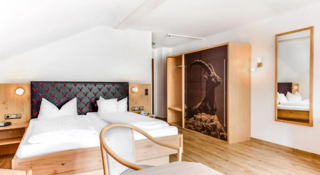 Двухместный номер Standard с балконом Hotel Steinbock