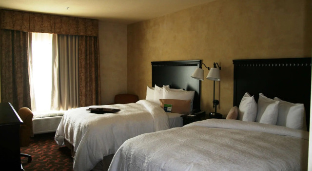 Четырёхместный номер Standard Hampton Inn & Suites Dallas-Arlington North-Entertainment District