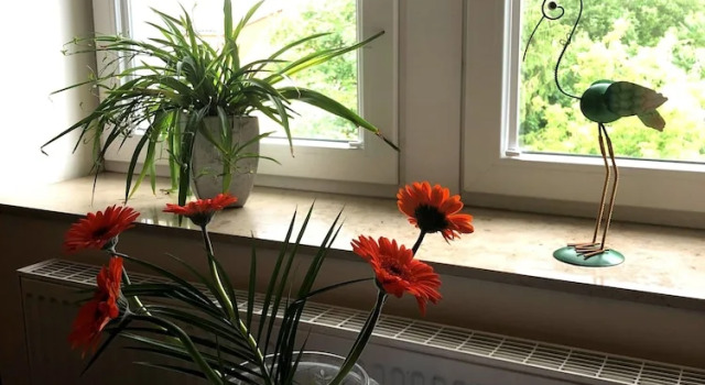 Апартаменты Apartment on the Elbe Ferry - Apartment for 2 - 3 People