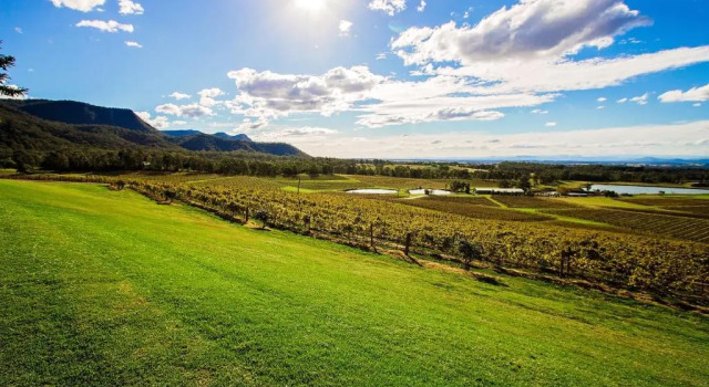 Коттедж Audrey Wilkinson Vineyard