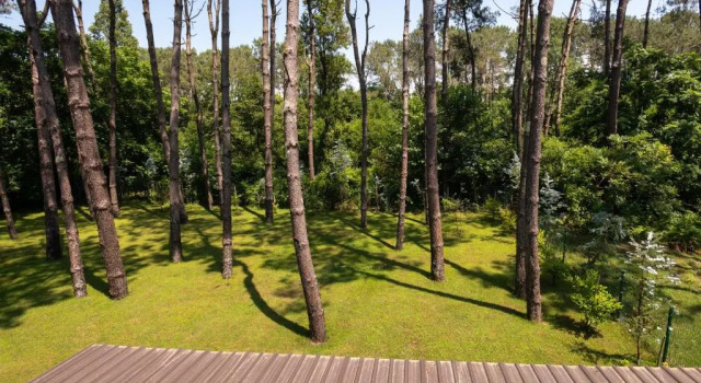 Люкс Buxus Hotel Shekvetili