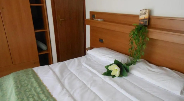 Номер Standard Oasi Verde