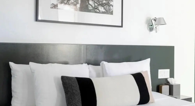 Номер Luxury Frame Hotel - Treehouse