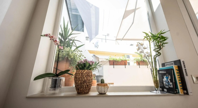 Cosy Apartment with Terrace in the Centre of Seville