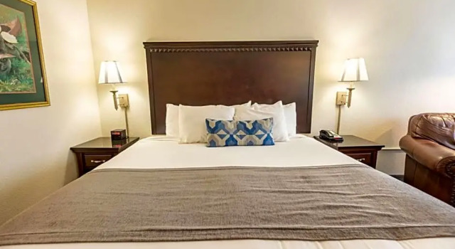 Двухместный люкс Savannah House Hotel