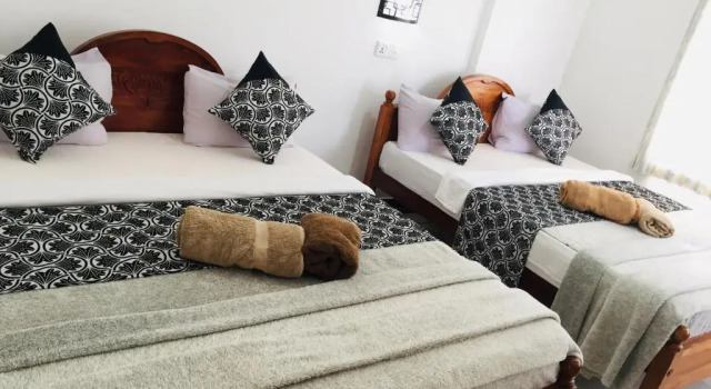 Трёхместный номер Deluxe Polo Region Rest Inn
