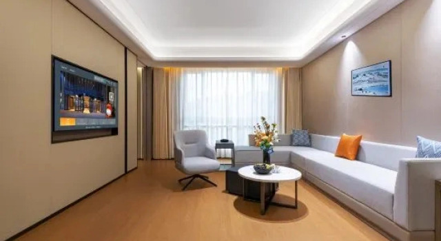 Полулюкс Executive UrCove by Hyatt Altay
