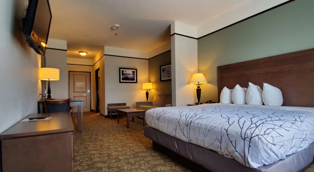 Двухместный люкс Best Western Plus Emory at Lake Fork Inn & Suites