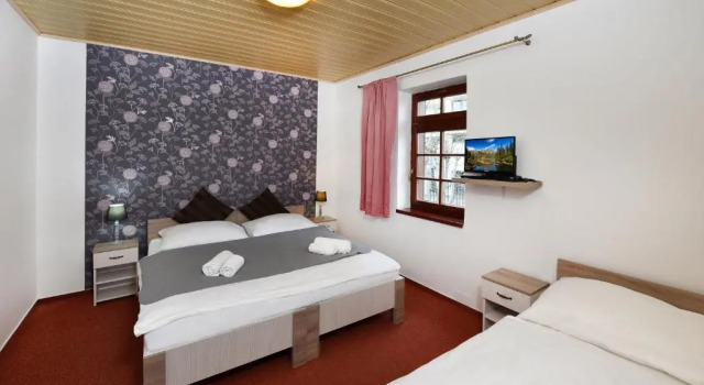 Номер Standard Pension Villa Kunerad