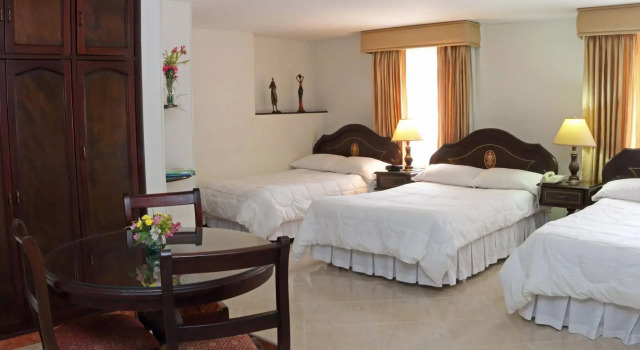 Hotel Plaza Versalles