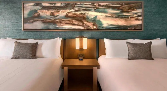 Люкс Denver Marriott Tech Center
