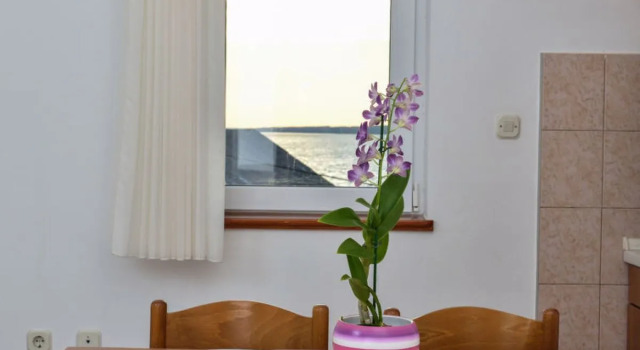 Apartment Bonex Privlaka 13641, Κράτηση Διαμέρισμα Privlaka Zadar County