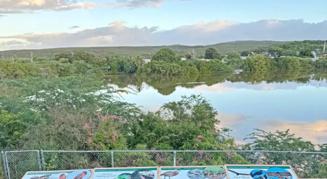 Вилла Comfort с 3 комнатами с видом на залив Palmeras Beach Apartments - Playa Santa