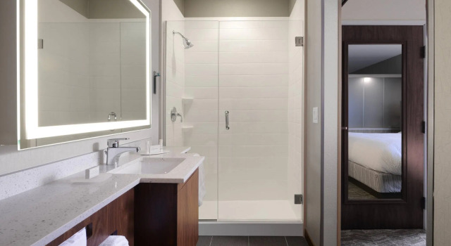 Двухместная студия SpringHill Suites by Marriott San Antonio Northwest at The RIM