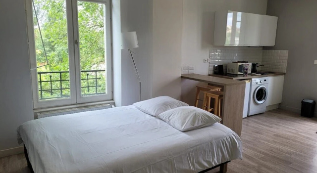 Студия Premium с видом на парк Appartment Les Suites Du Parc
