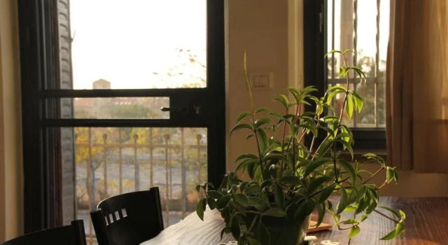 Ariela's Place