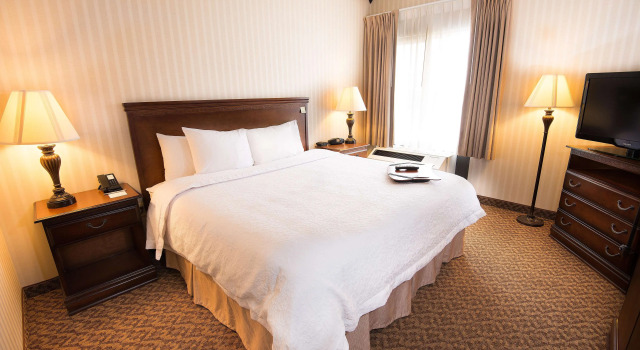 Hampton Inn Carlstadt-At The Meadowlands