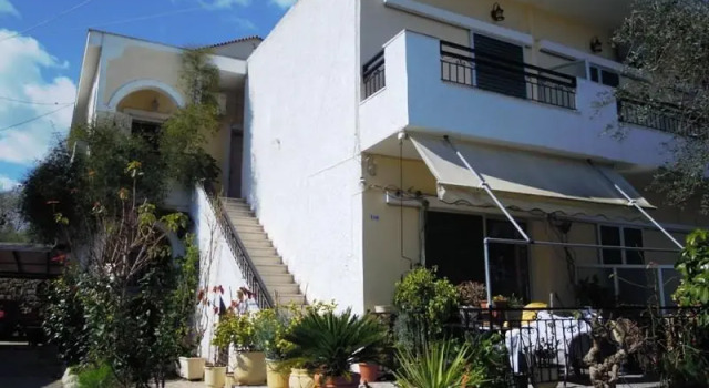 Theo Studios